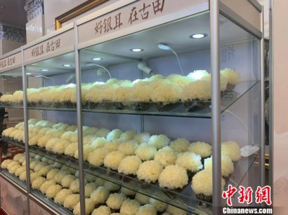 澳门永利官网_澳门永利网站_澳门永利网址_全县70%农户从事食用菌产销活动